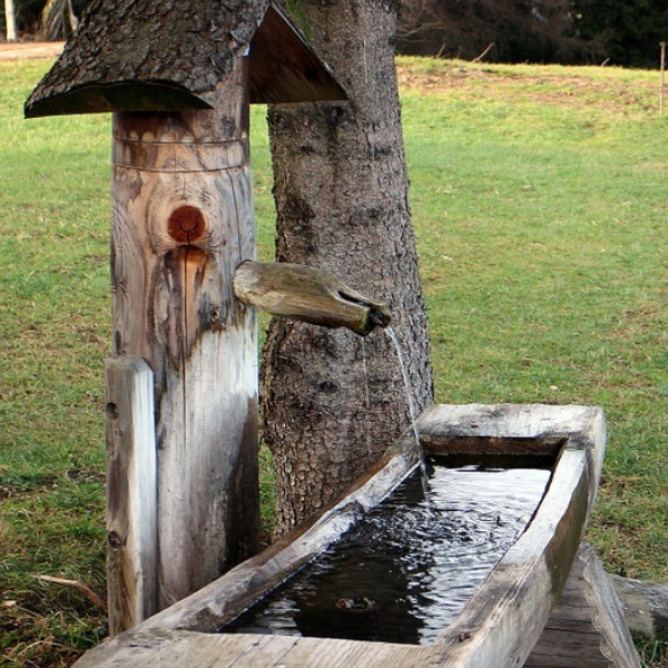 Bebedouro para bovinos